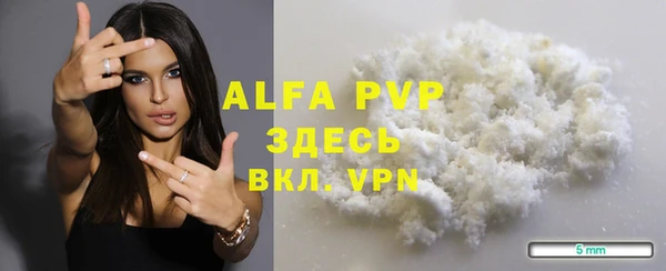 крисы Кулебаки