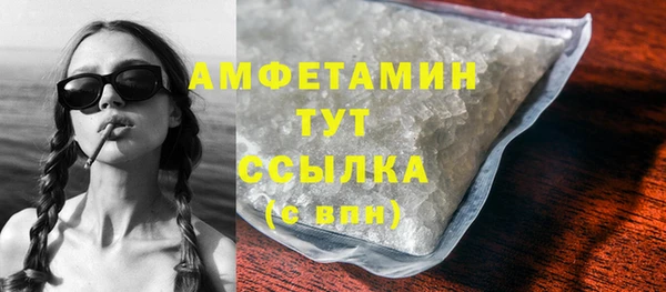 крисы Кулебаки