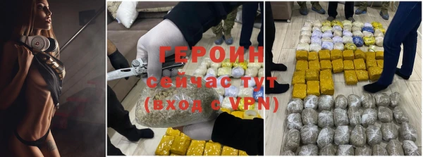 крисы Кулебаки