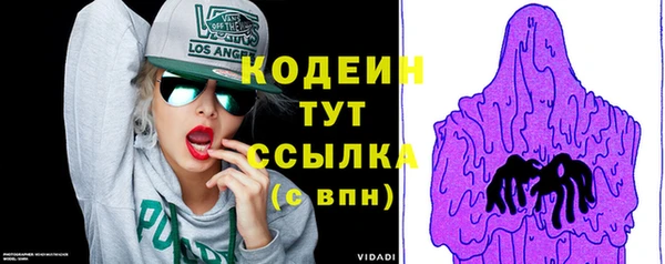 крисы Кулебаки
